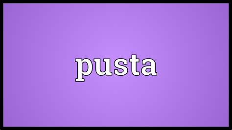 pusta in English .